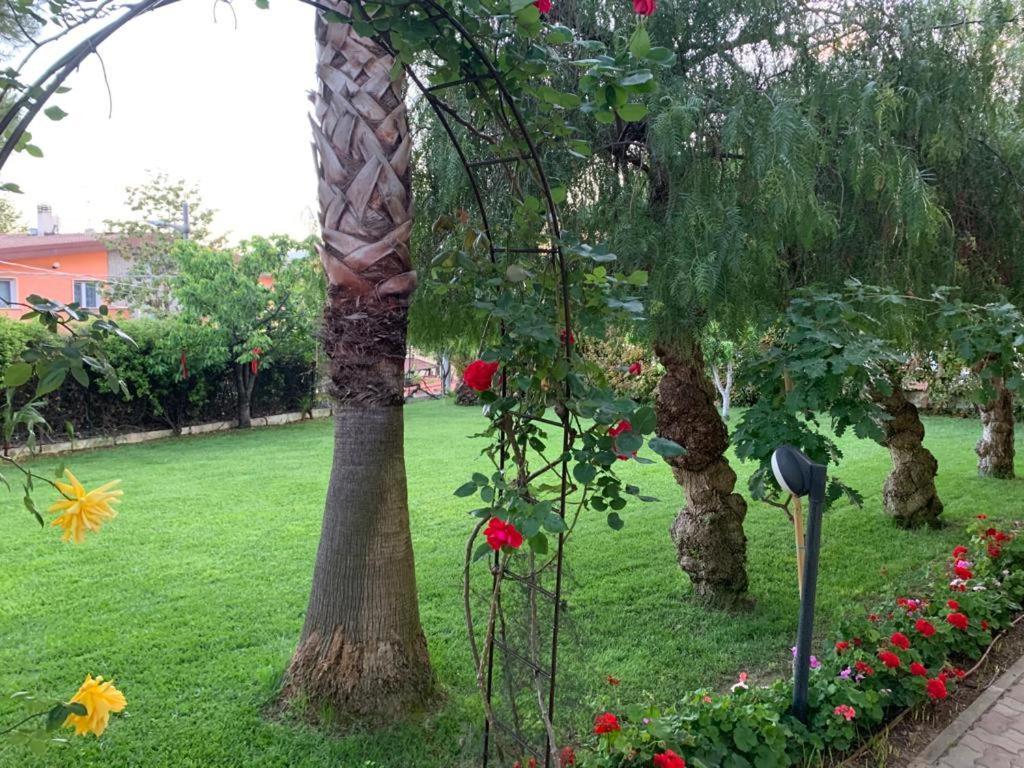 B&B The Garden เปสการา ภายนอก รูปภาพ